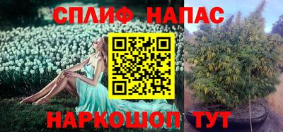 ешки Изобильный